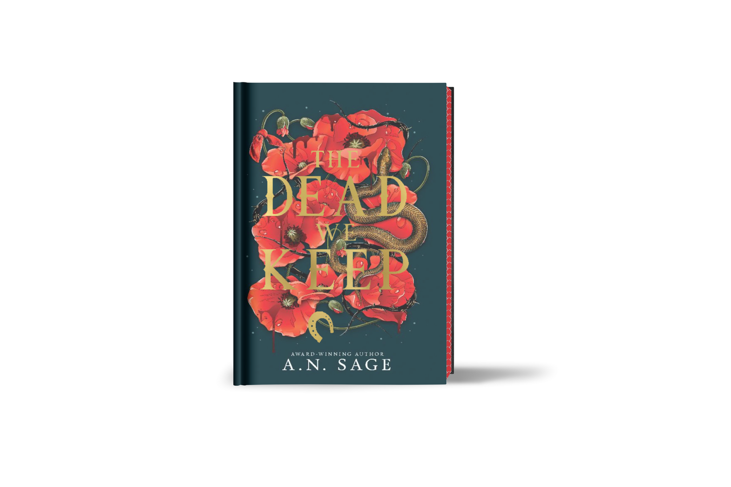 A.N. Sage The Dead We Keep Special Edition Front Cover, 20% off
